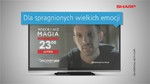 Brand Partnership Discovery Media niestandardowo i regionalnie dla SHARP AQUOS